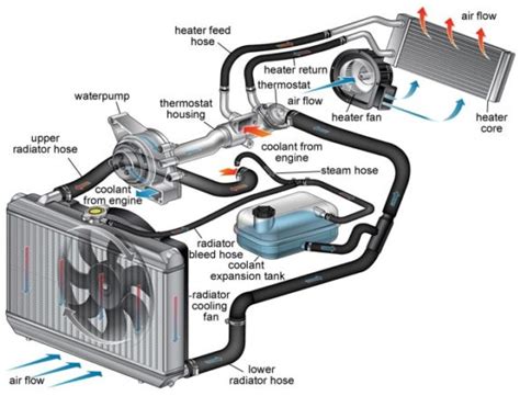 How Much Coolant Does My Car Need: A Journey Through the Radiator's Soul