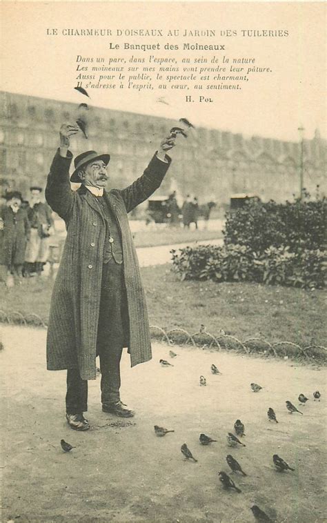 Le Banquet des Oiseaux : Une Mélange Délicat de Réalisme et de Symbolisme Mystique !