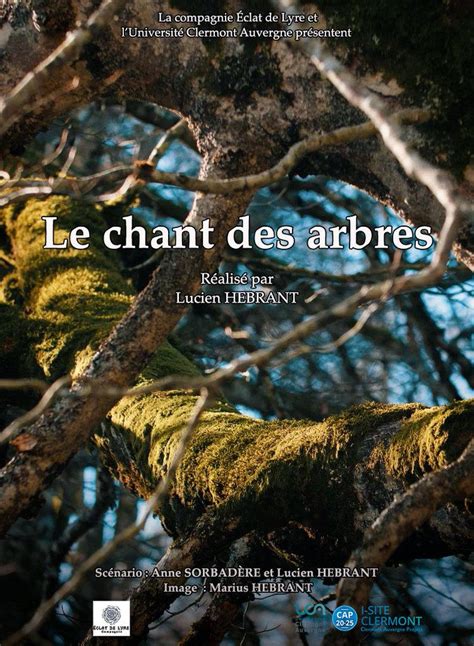 Le Chant des Arbres Silencieux: Une Exploration Vibratoire de la Forêt Intérieure