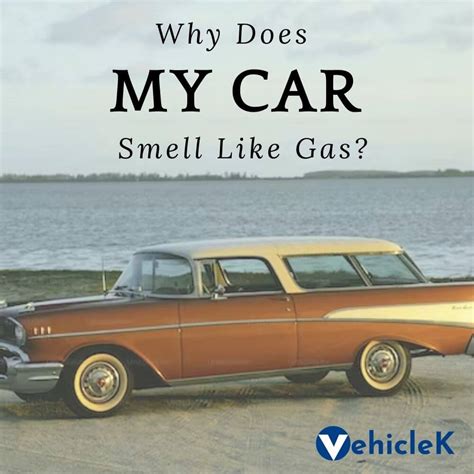 Why Does My Car Smell Like Gas When I Start It? And Why Does My Cat Suddenly Want to Drive?